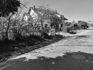 Zdjęcie 15872537