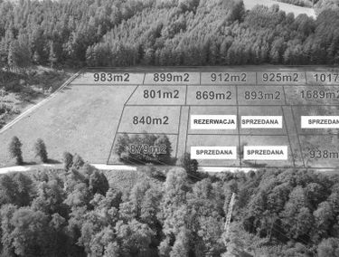 Zdjęcie 15873120