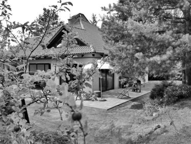 Zdjęcie 15873148