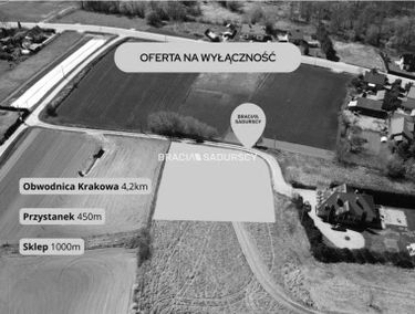 Zdjęcie 15875055