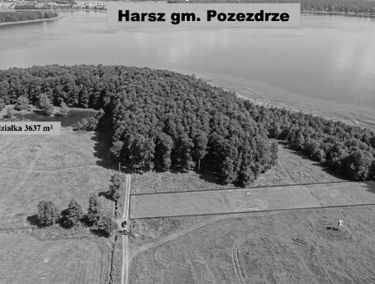 Zdjęcie 15875400