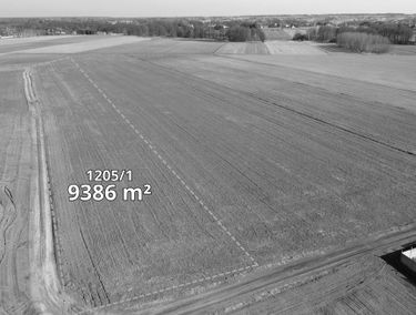 Zdjęcie 15876002