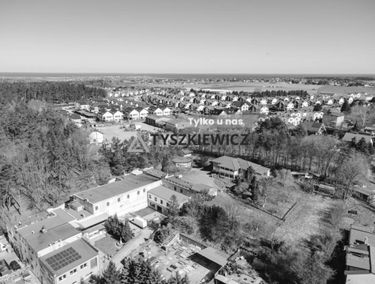 Zdjęcie 15876090