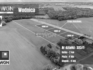Zdjęcie 15876376