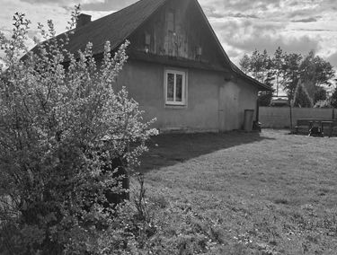 Zdjęcie 15878151