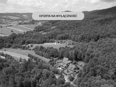 Zdjęcie 15878466