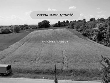 Zdjęcie 15878508