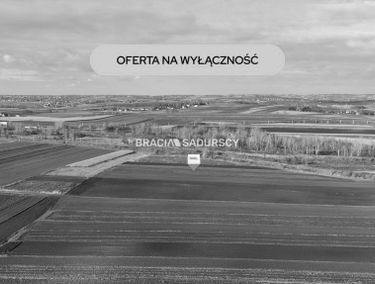 Zdjęcie 15878691