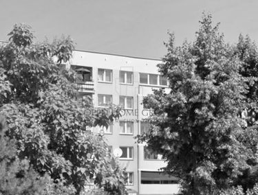 Zdjęcie 15878950