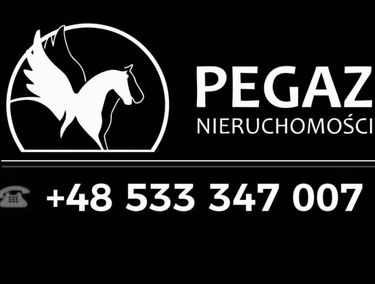 Zdjęcie 15880928