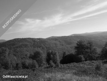 Zdjęcie 15881172