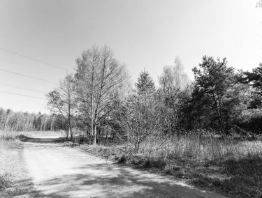 Zdjęcie 15881239
