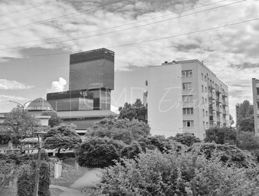 Zdjęcie 15881564