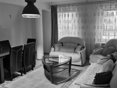 Zdjęcie 15882008