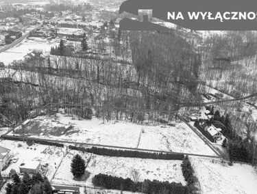Zdjęcie 15882484