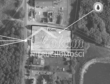 Zdjęcie 15882622