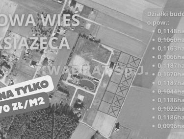 Zdjęcie 15882689