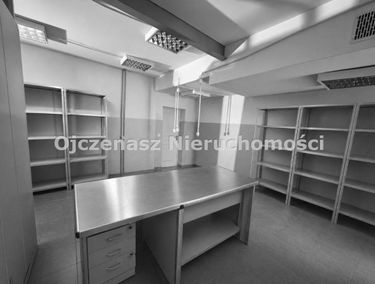 Zdjęcie 15882699