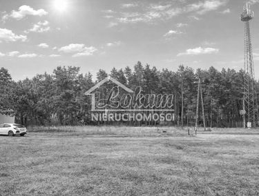 Zdjęcie 15883016