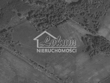 Zdjęcie 15883033