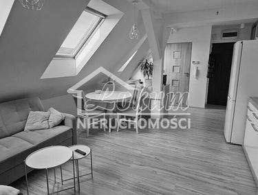 Zdjęcie 15883039