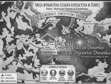 Zdjęcie 15883144