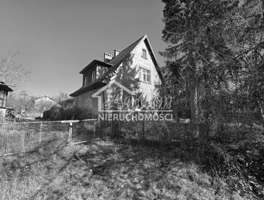 Zdjęcie 15883168