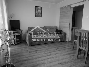 Zdjęcie 15883186
