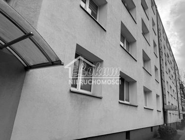 Zdjęcie 15883284