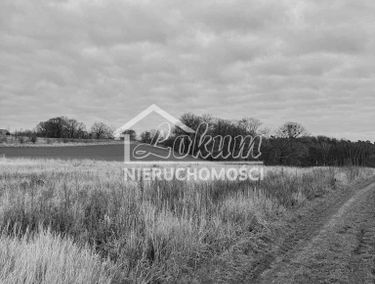 Zdjęcie 15883632