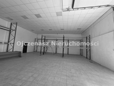 Zdjęcie 15884739