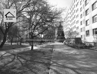 Zdjęcie 15885323