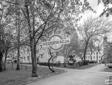 Zdjęcie 15885806
