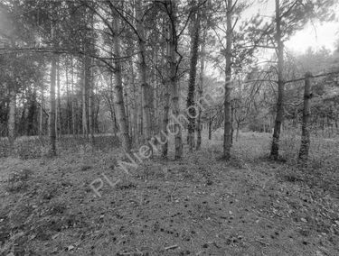 Zdjęcie 15885833