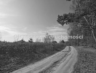 Zdjęcie 15886124