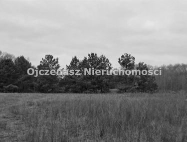 Zdjęcie 15886130