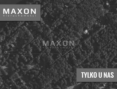 Zdjęcie 15886746