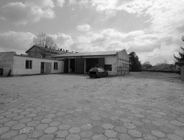 Zdjęcie 15887469