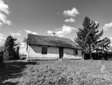 Zdjęcie 15887613