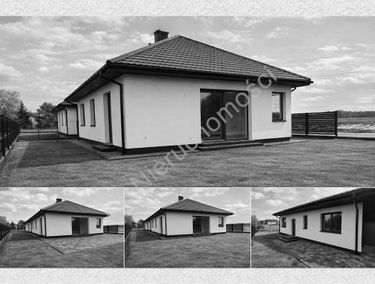 Zdjęcie 15888346