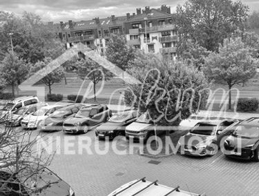 Zdjęcie 15888642