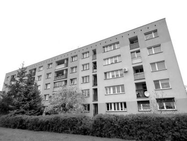 Zdjęcie 15888980
