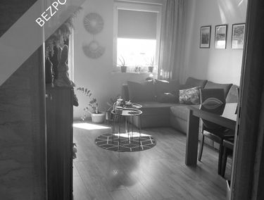 Zdjęcie 15889570