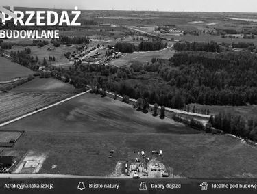 Zdjęcie 15890218