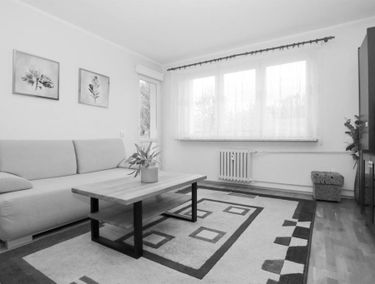 Zdjęcie 15890424