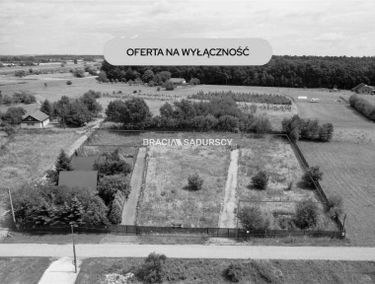 Zdjęcie 15890739