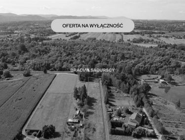 Zdjęcie 15890867