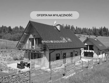 Zdjęcie 15890868
