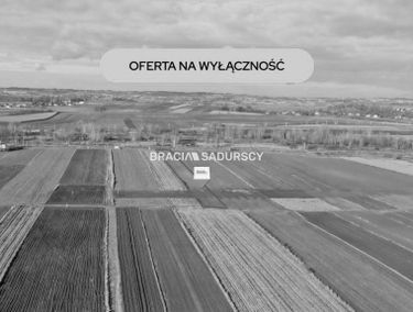 Zdjęcie 15890871