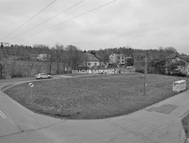 Zdjęcie 15890879